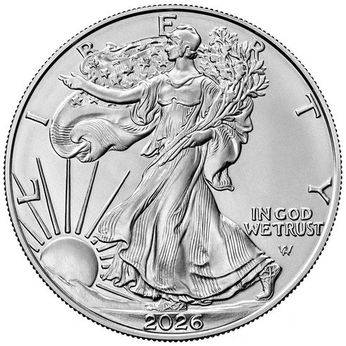 Moneta argento dollaro - 1,