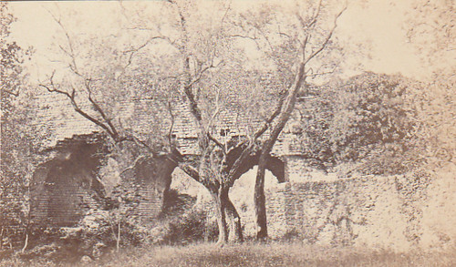 Rare photo 1866 - cdv, cote
