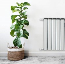 Radiatore doppio design in