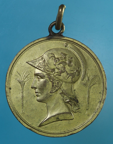 Firenze medaglia 1913 - medaglia, ai