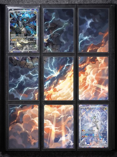Zekrom n s - n's, 167