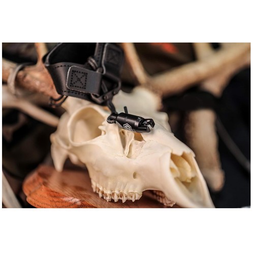 Cinturino fibbia neoprene - cinturino,