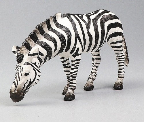 Zebra che beve animale