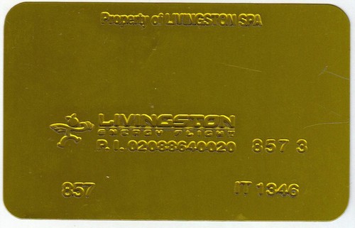 Piastrina validatrice