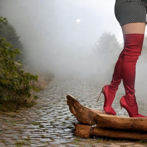 Casadei stivali elasticizzati - casadei,