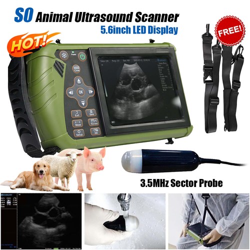 Macchina veterinaria portatile
