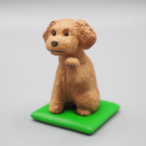 Inviting poodle dog - inviting, mini