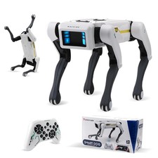 Smart Ai Robot Cane con