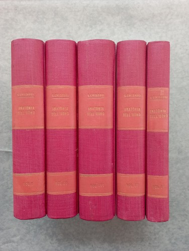 Chiarugi anatomia dell - 'uomo, 4