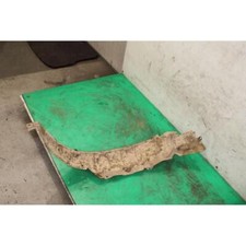 PARASASSI INT. PASSARUOTA ANT