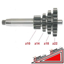 Ingranaggio quadruplo 4