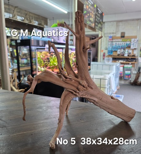 Acquario acquascape - acquario,