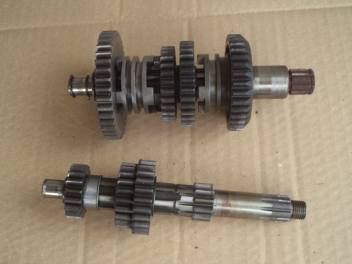 Fantic koala motore fm - koala, 50