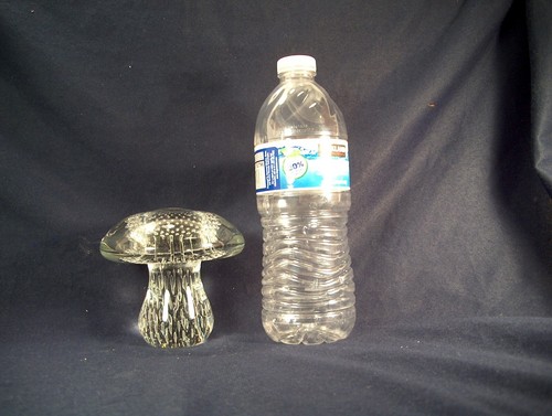 Fungo trasparente pesante con - fungo,