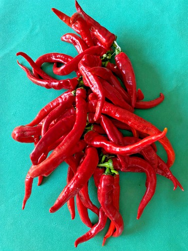 Semi peperoni cruschi del - di,