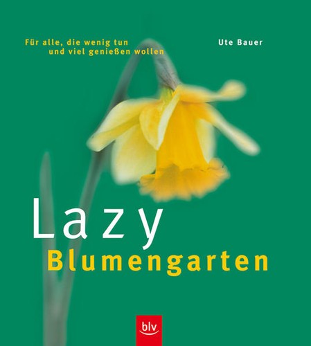 Ute bauer giardino - ute, fiorito