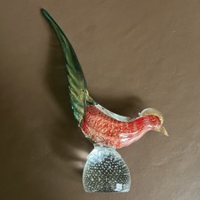 Eccezionale figura fagiano