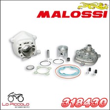 318430 GRUPPO TERMICO MALOSSI