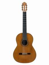 Toro 59 1970! Video! Chitarra