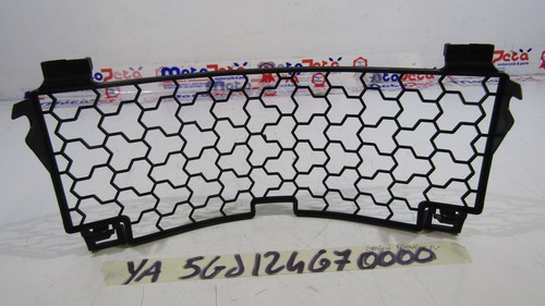 Griglia radiatore radiator - radiatore,