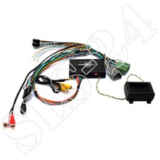 Cina XOMAX ERISIN PUMPKIN