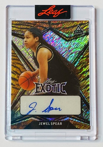 2022 leaf exotic - 2022-23,
