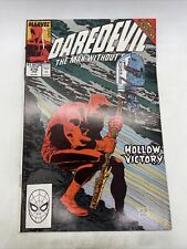 Daredevil  Hollow Victory #276