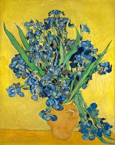 Dipinto olio iris di - iris,