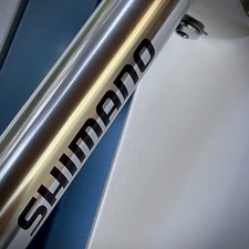 REGGISELLA  SHIMANO TEAM