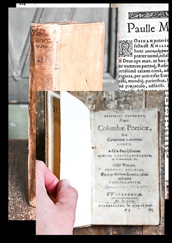 1594 neulatein taubmann - 1594,