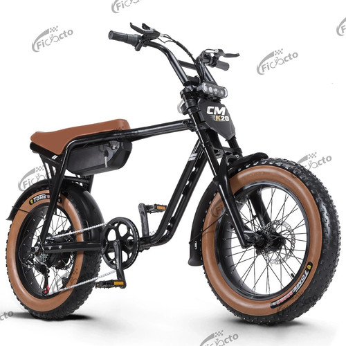 Bicicletta elettrica - bicicletta, 20