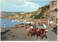 SORRENTO-NAPOLI -LA TIPICA