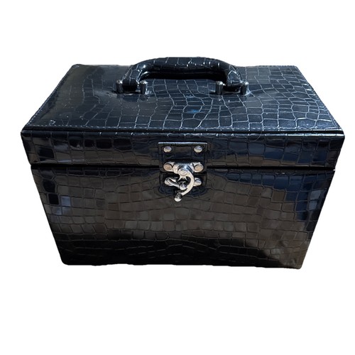 Professional makeup case - professional,