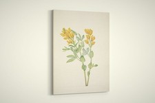 Mary Walcott - Fiori selvatici