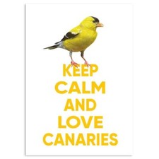 Adesivo regalo: mantieni la