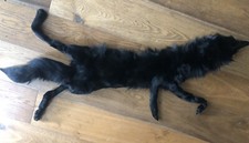 Antico Collo Stola Scialle vera Pelliccia Volpe lunghezza 116 cm Nero