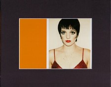 Quadro artistico stampa opaca