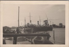 Foto 5. Battr. Osservazione