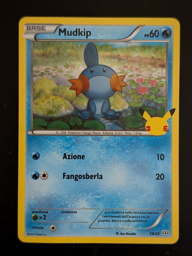 Carta pokemon mudkip 25 - carta, 19/25