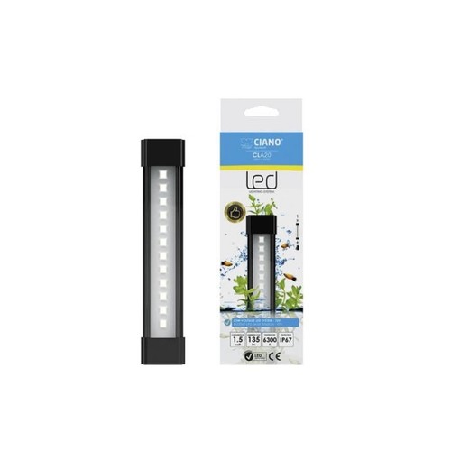 Ciano gruppo luce - gruppo,