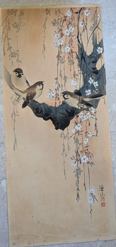 Ito sozan passeri - passeri, ciliegio