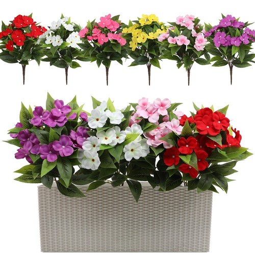 Bellissimi fiori impatiens - bellissimi,