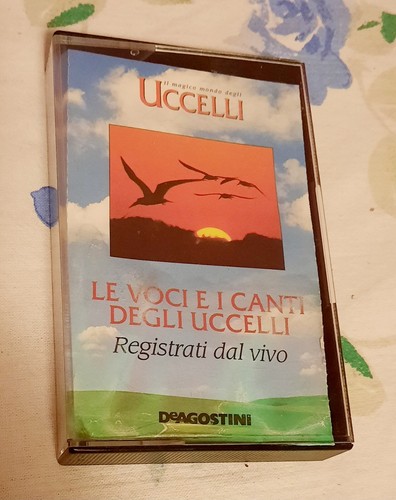 Magico mondo degli uccelli - magico,