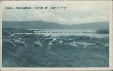 cs456 cartolina ronciglione veduta del lago di vico provincia di viterbo