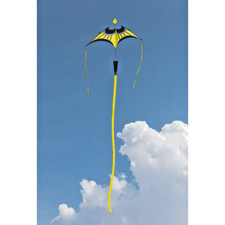 Delta Kite Hoffmanns Canard