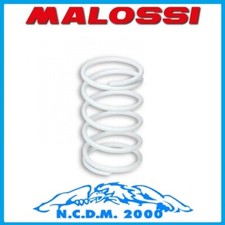 White Malossi Variator Spring