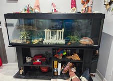 VENDO ACQUARIO COMPRESO DI MOBILE E POMPA