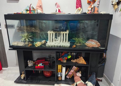 Vendo acquario compreso - vendo,