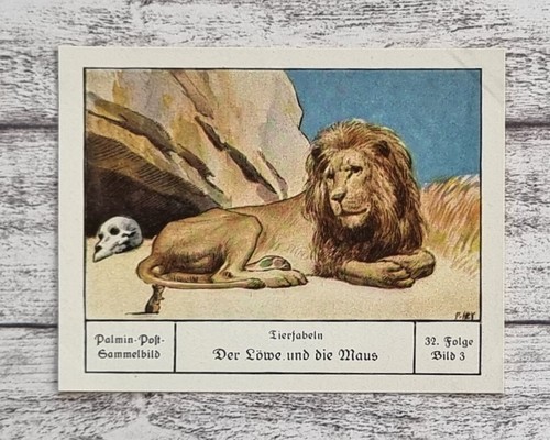 Leone topo favole animali - leone,