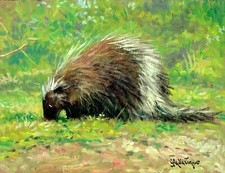 Dipinto Olio Tavoletta Istrice